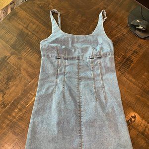 Denim Overall Dress with Darts